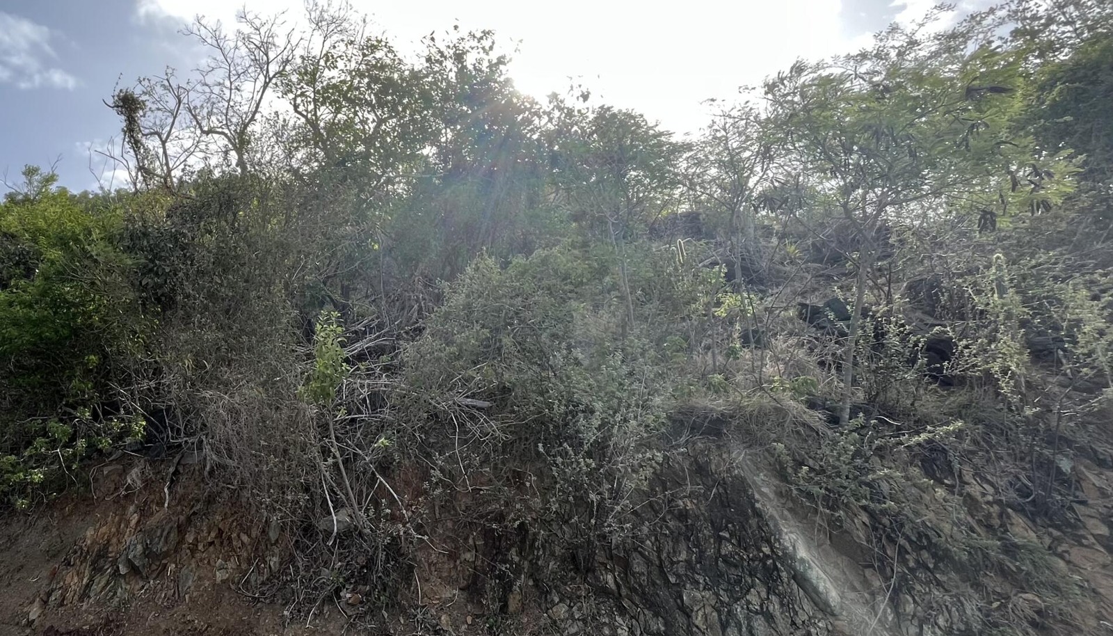 Image 9