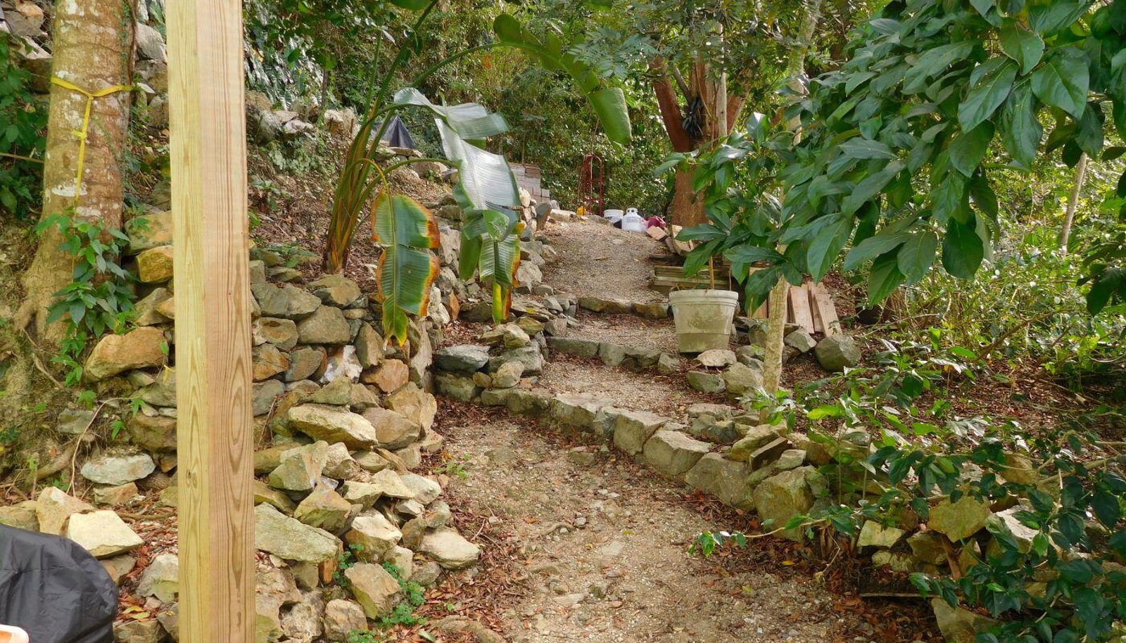Image 33