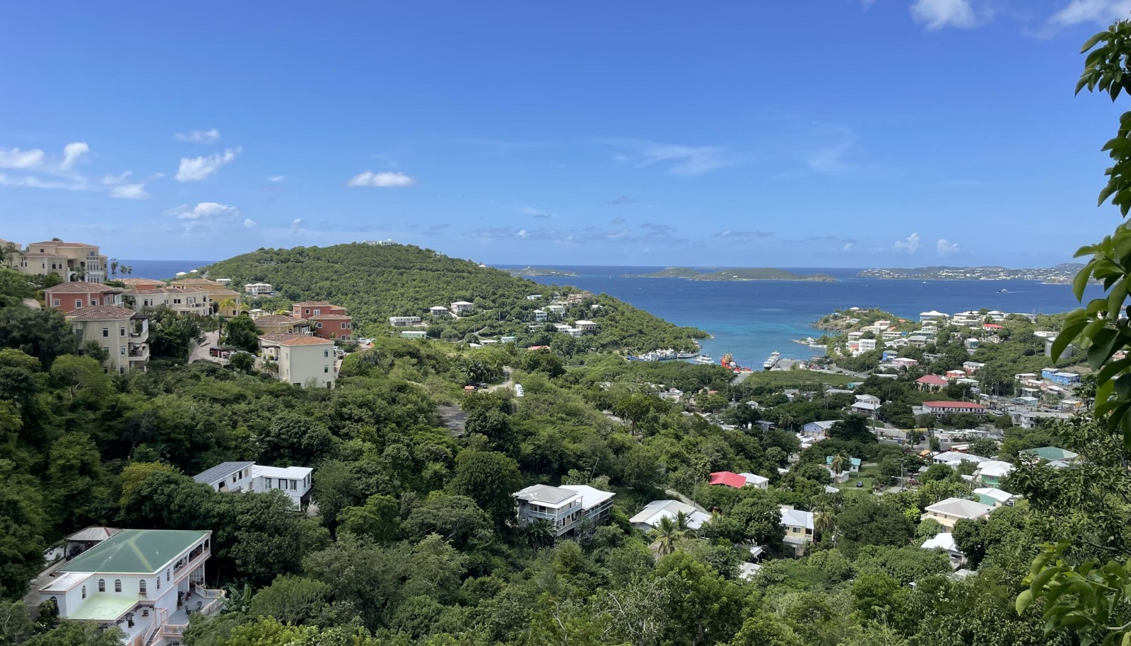 Image 12
