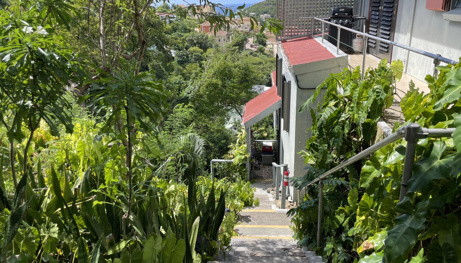 Image 14