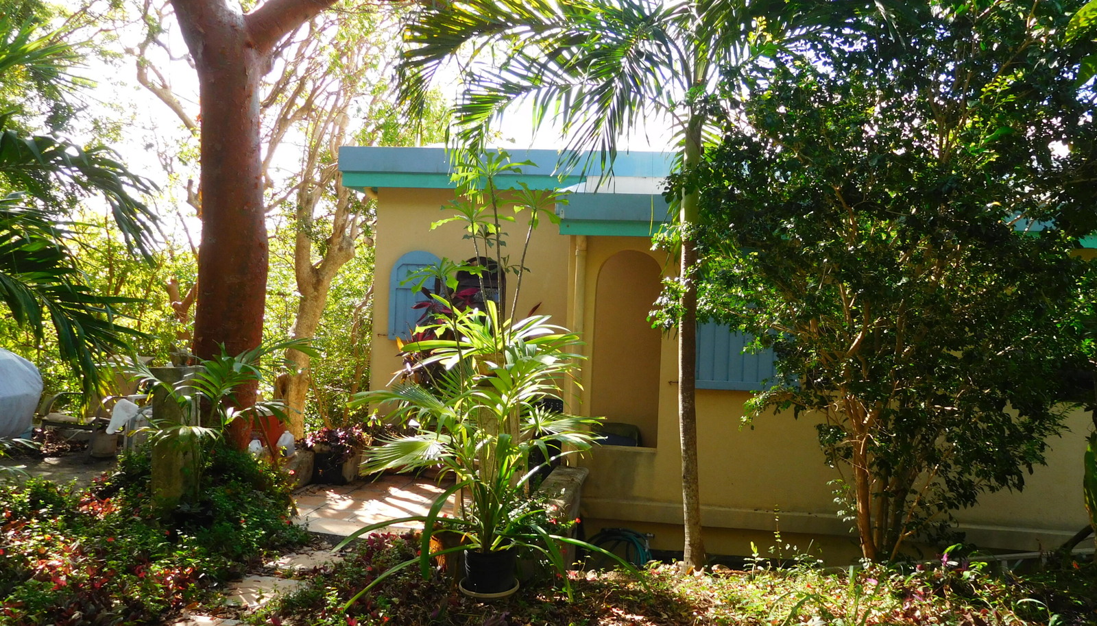 Image 4