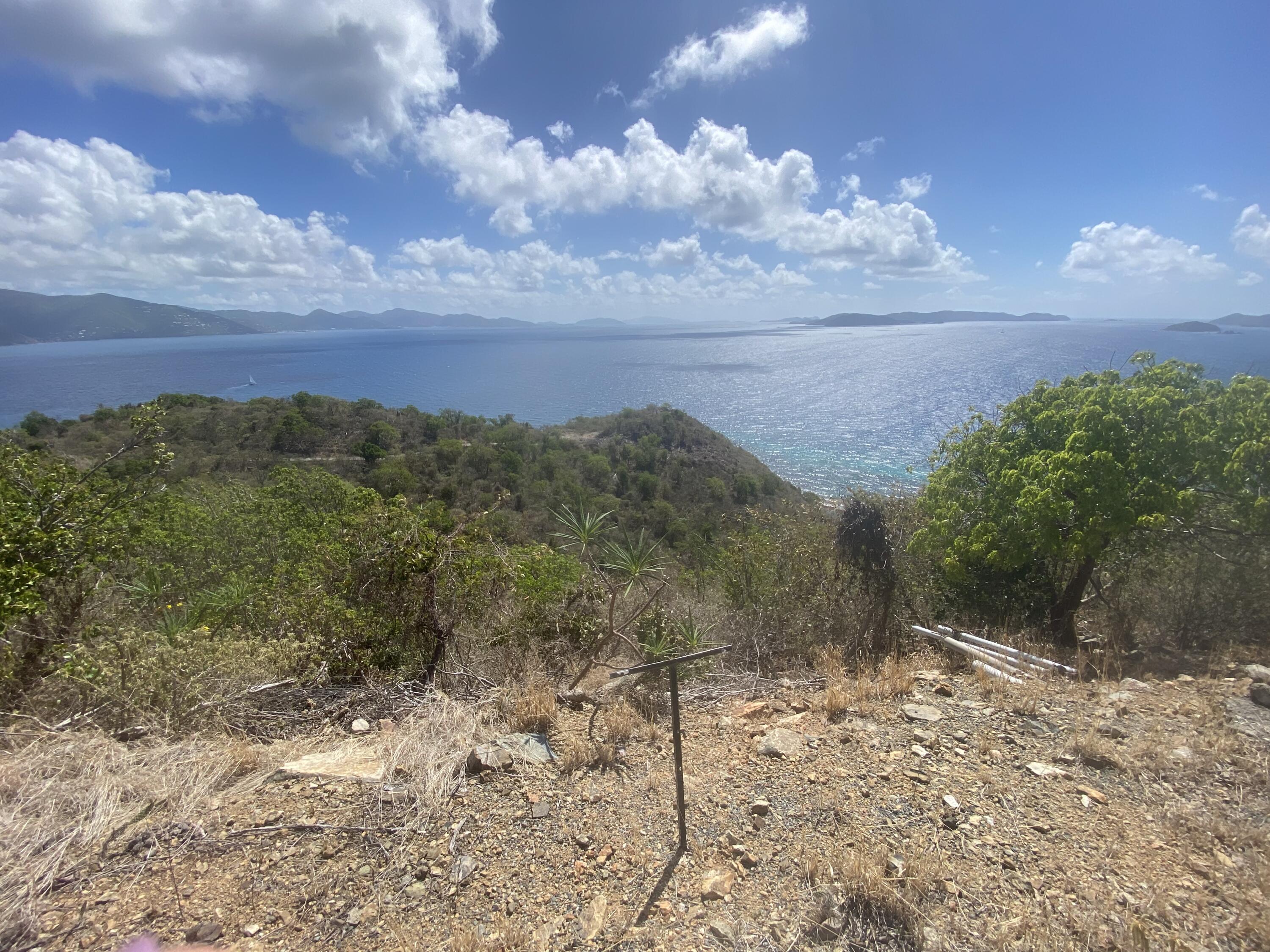 Image 13