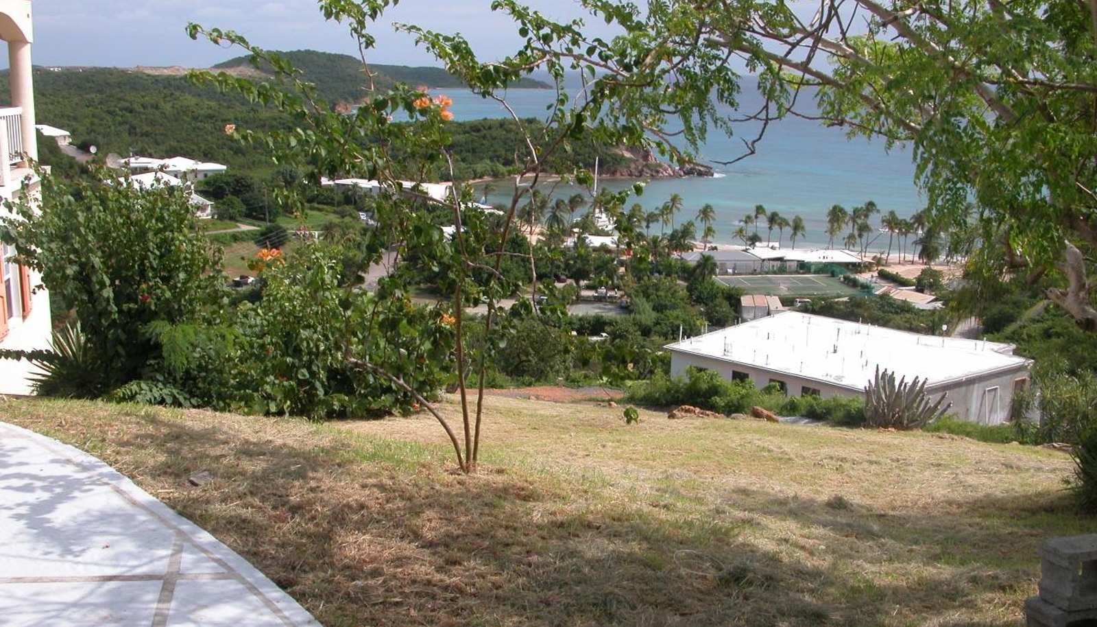 Image 4