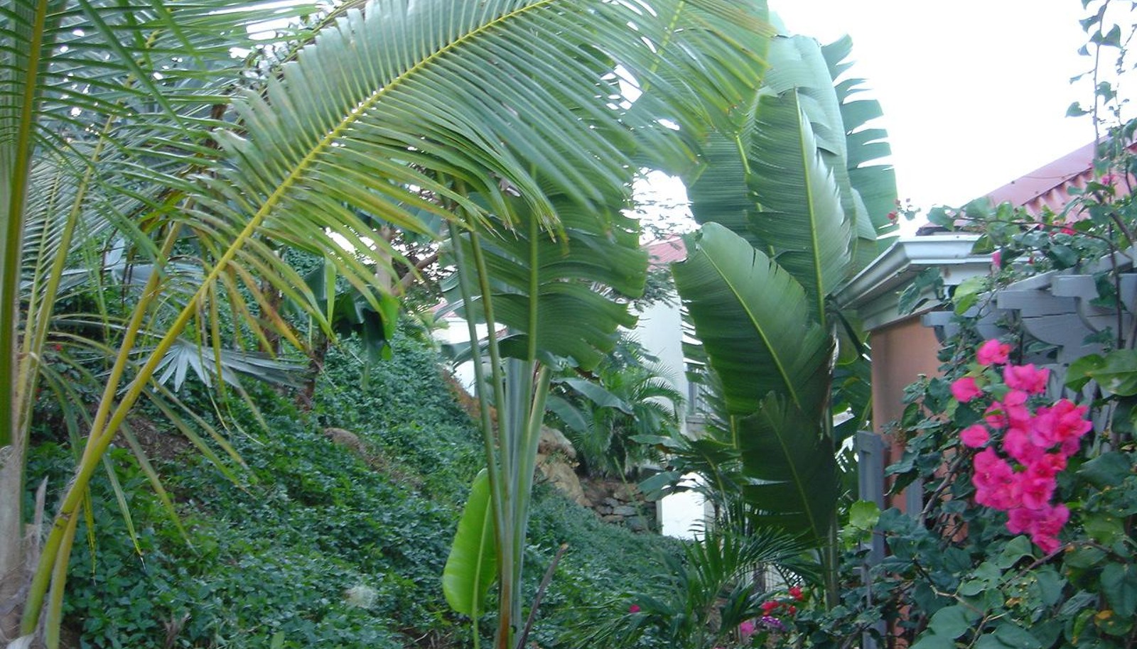 Image 11