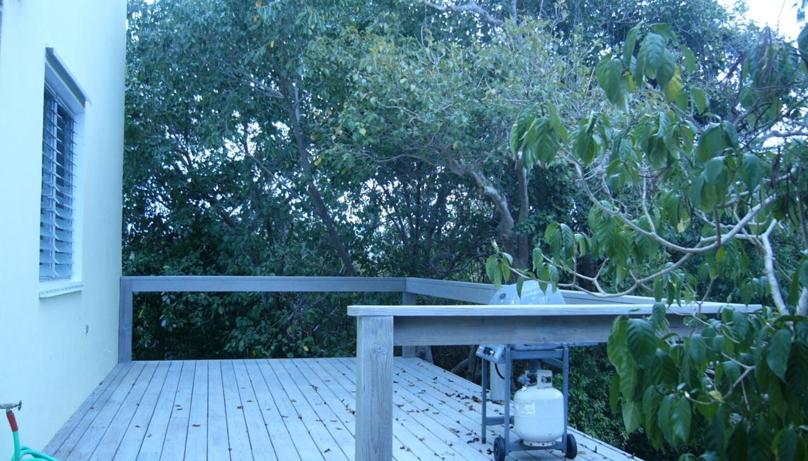 Image 11