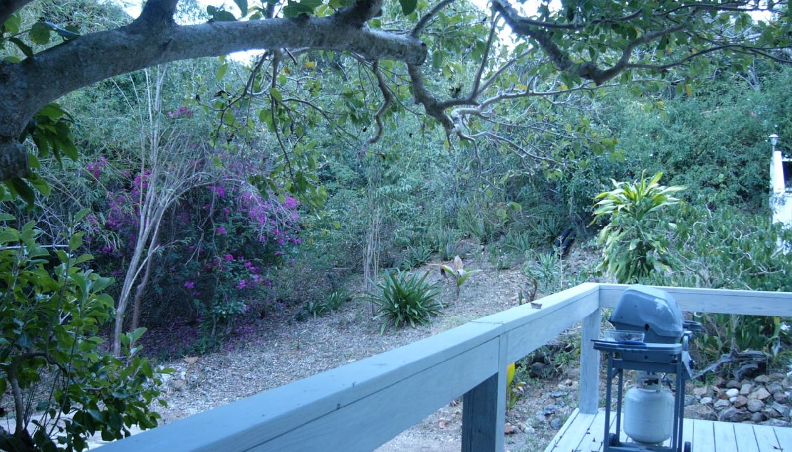 Image 12