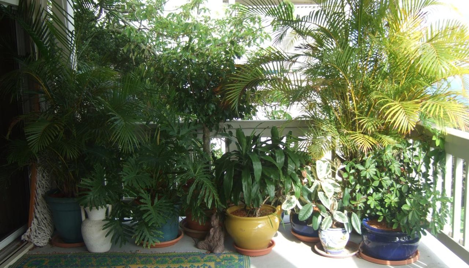 Image 14