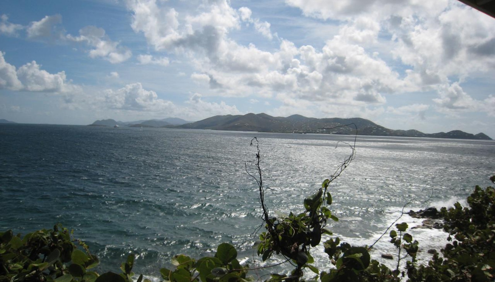 Image 13