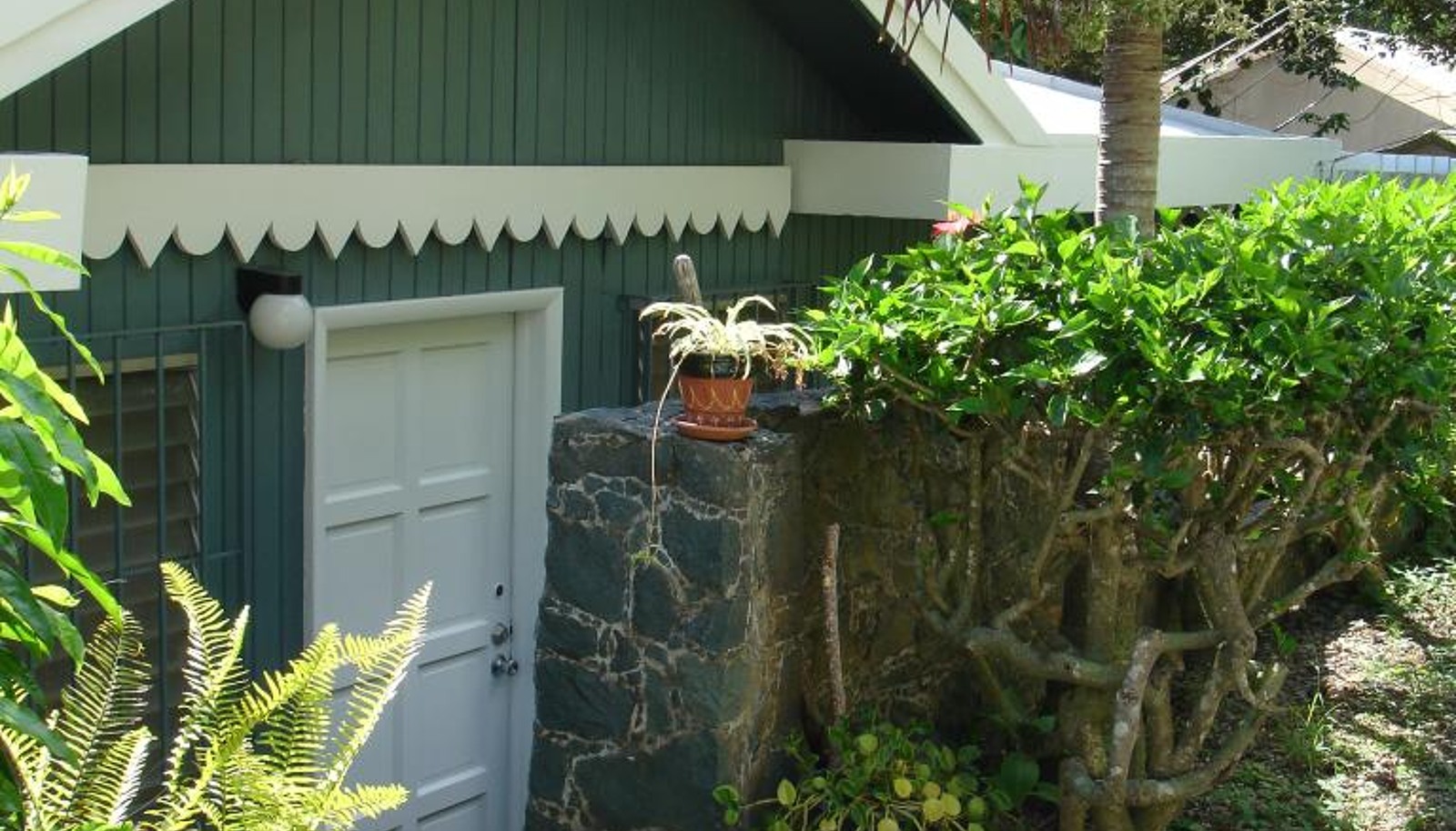Image 17