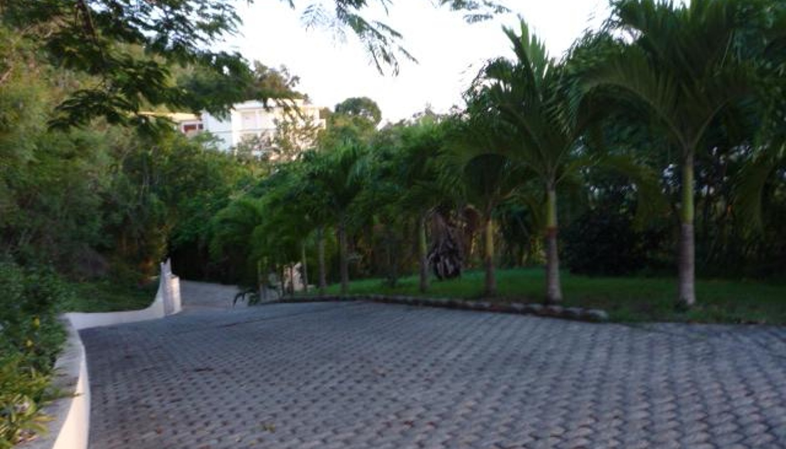 Image 13