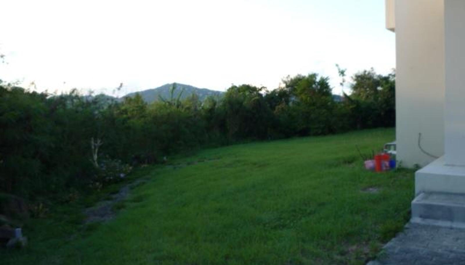 Image 14