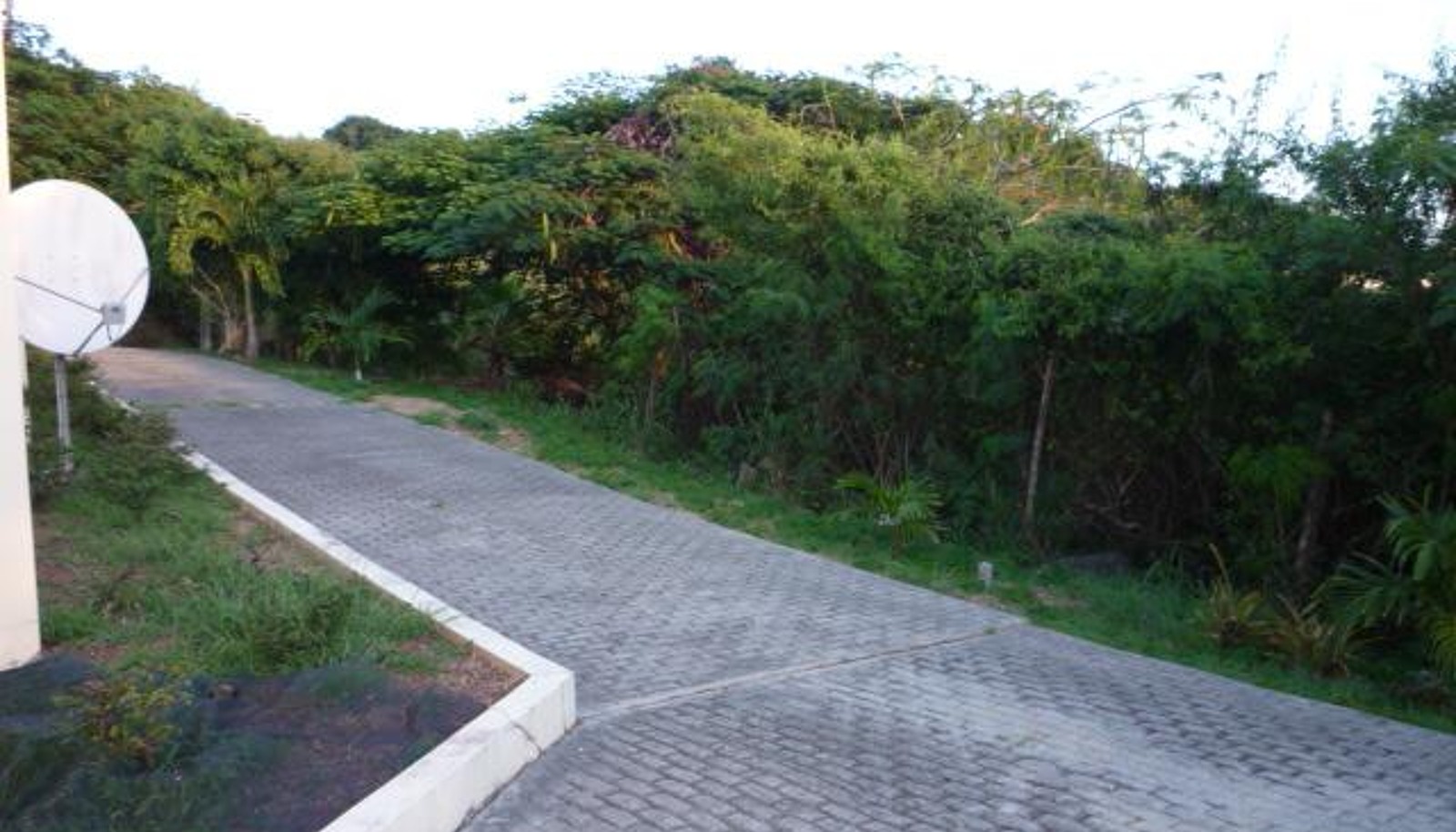 Image 15