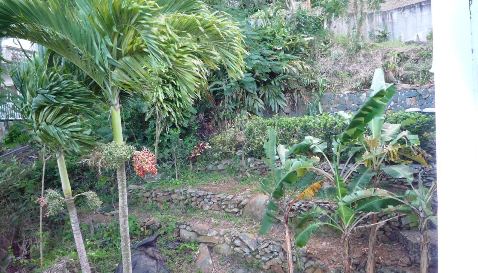 Image 14