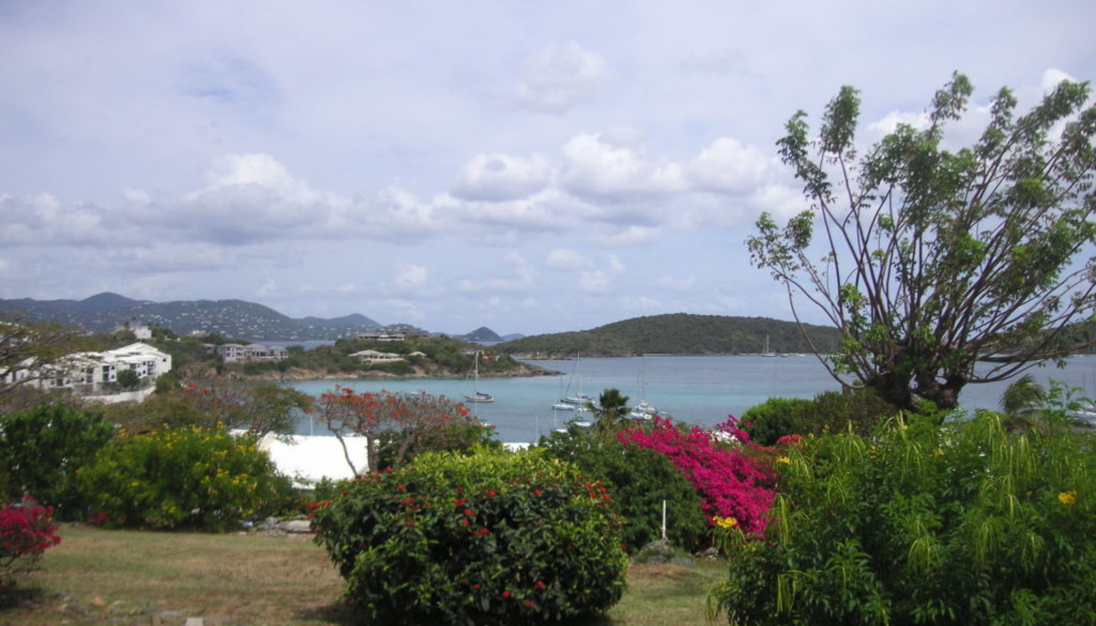 Image 19