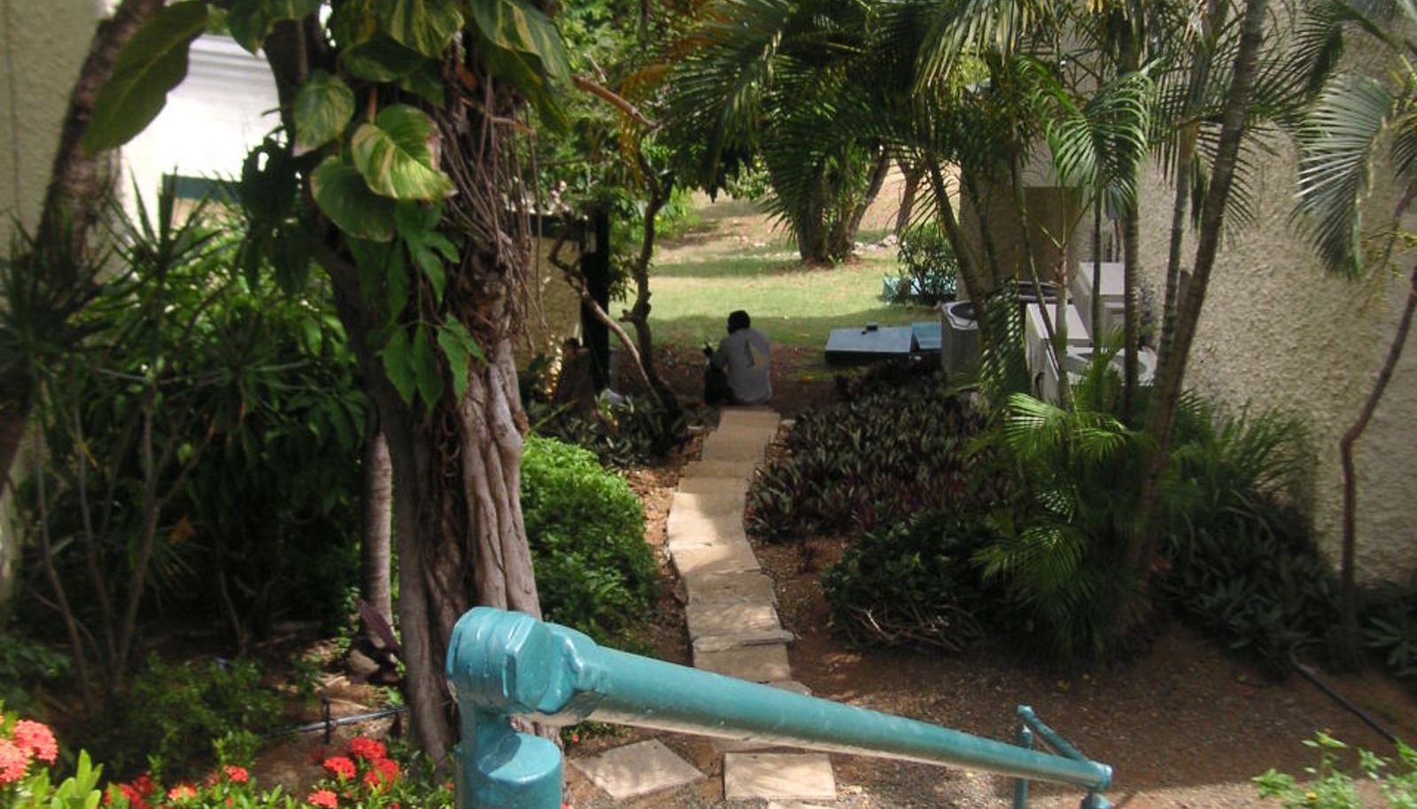 Image 23