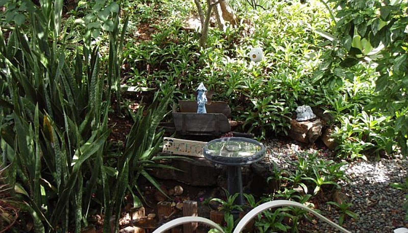 Image 13