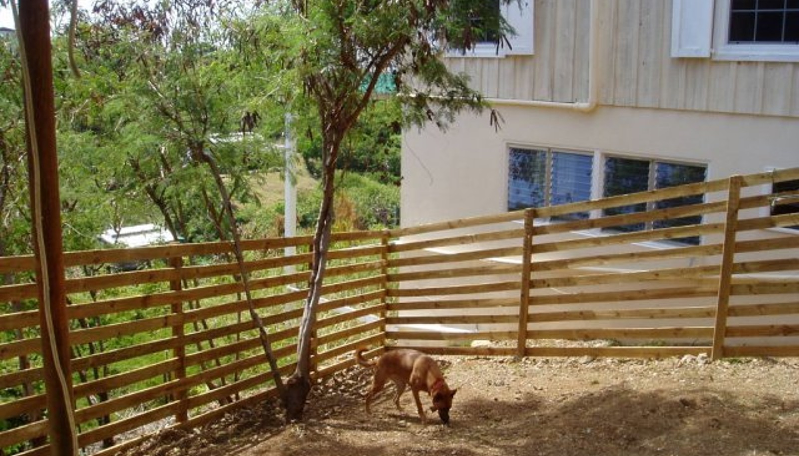 Image 19