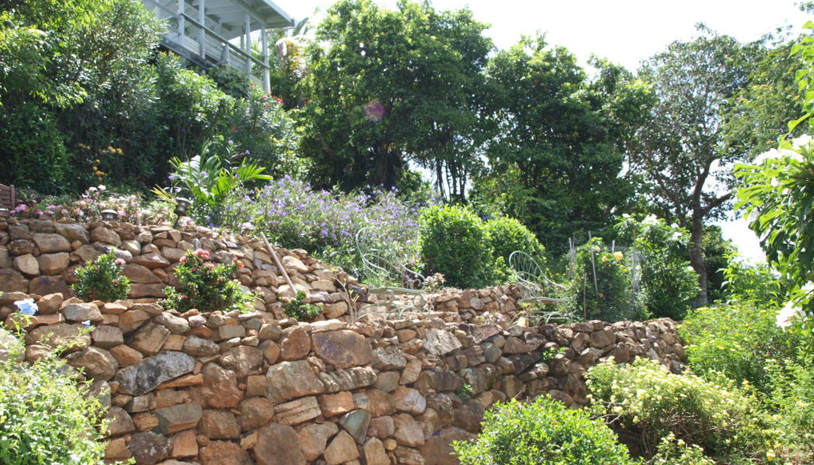 Image 12
