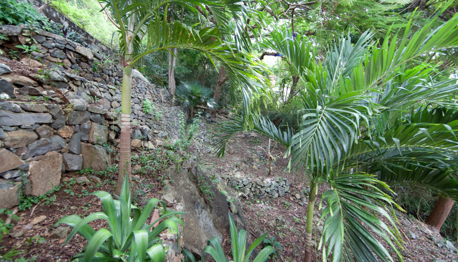 Image 26