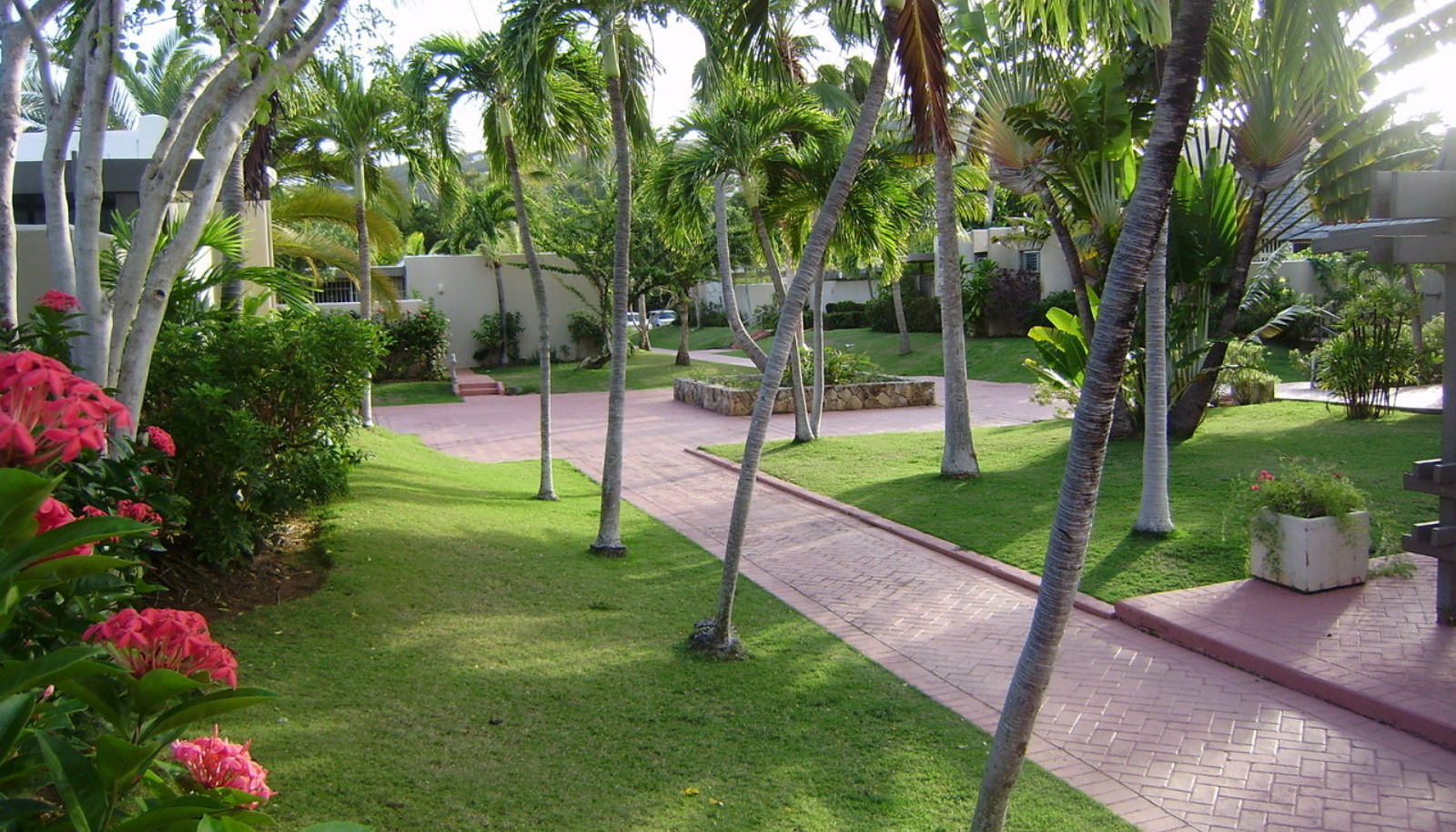 Image 14