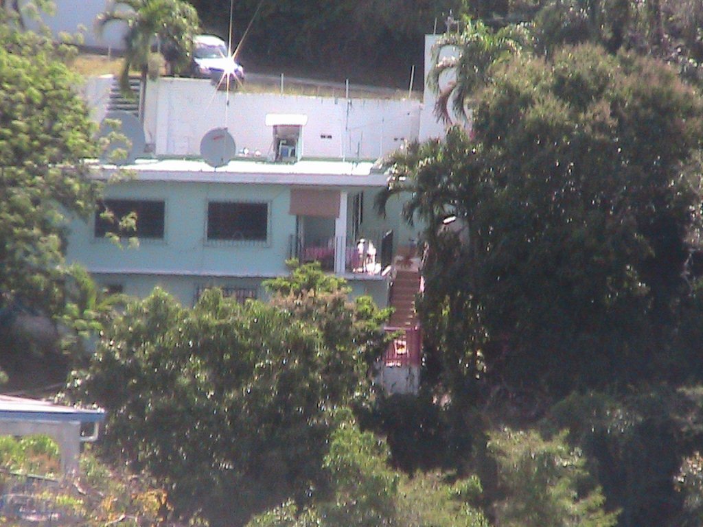 Image 19