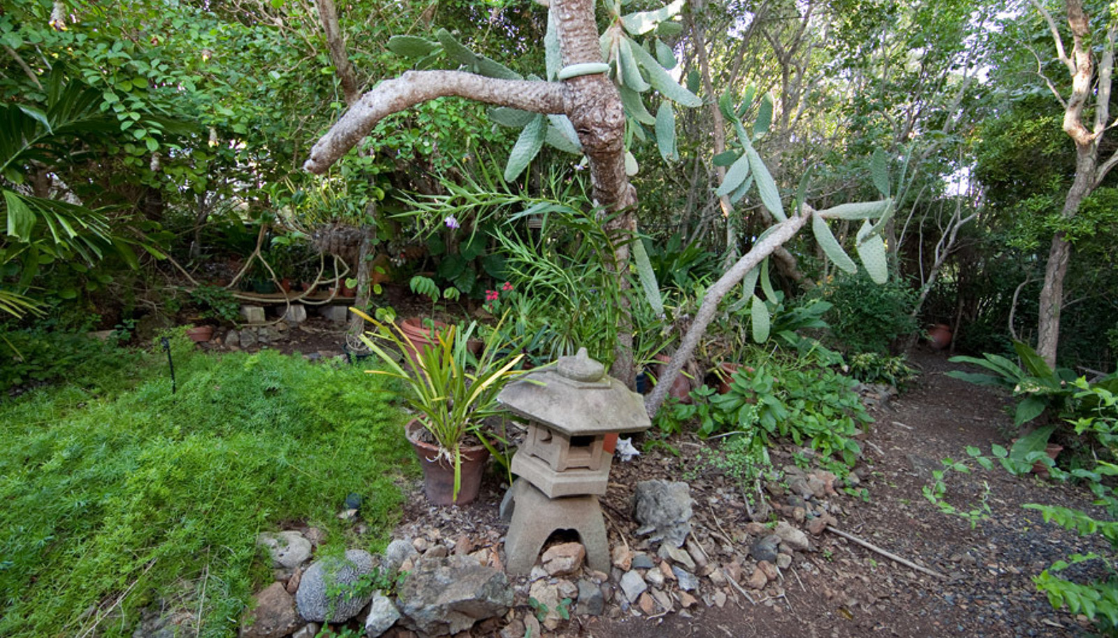Image 17