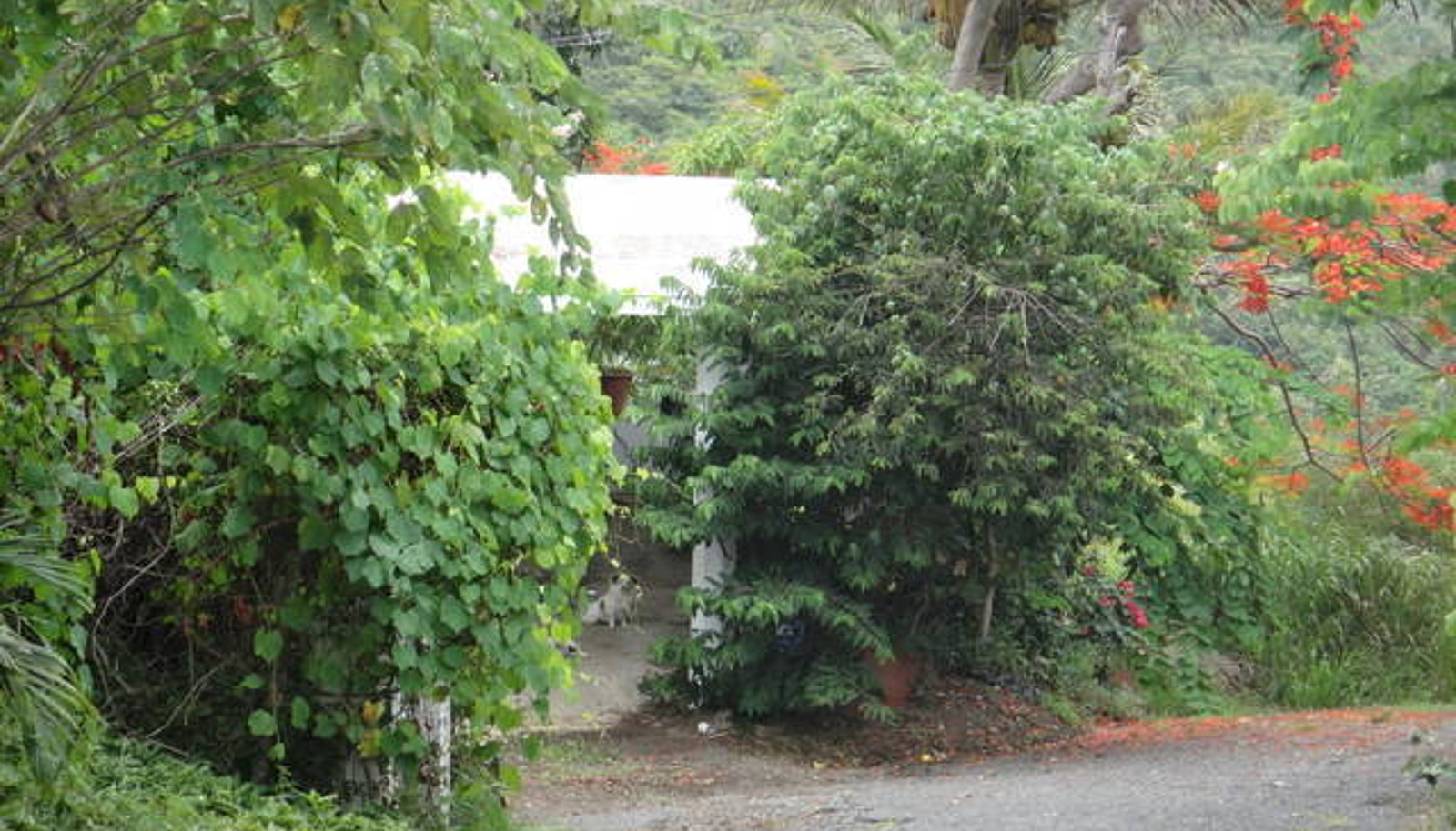 Image 8