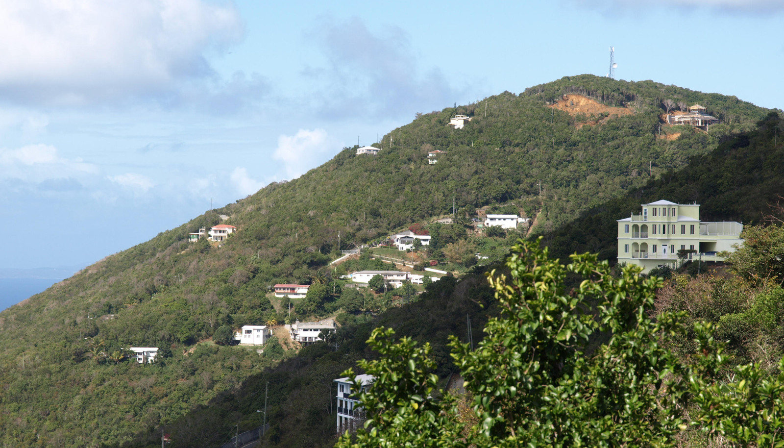 Image 14
