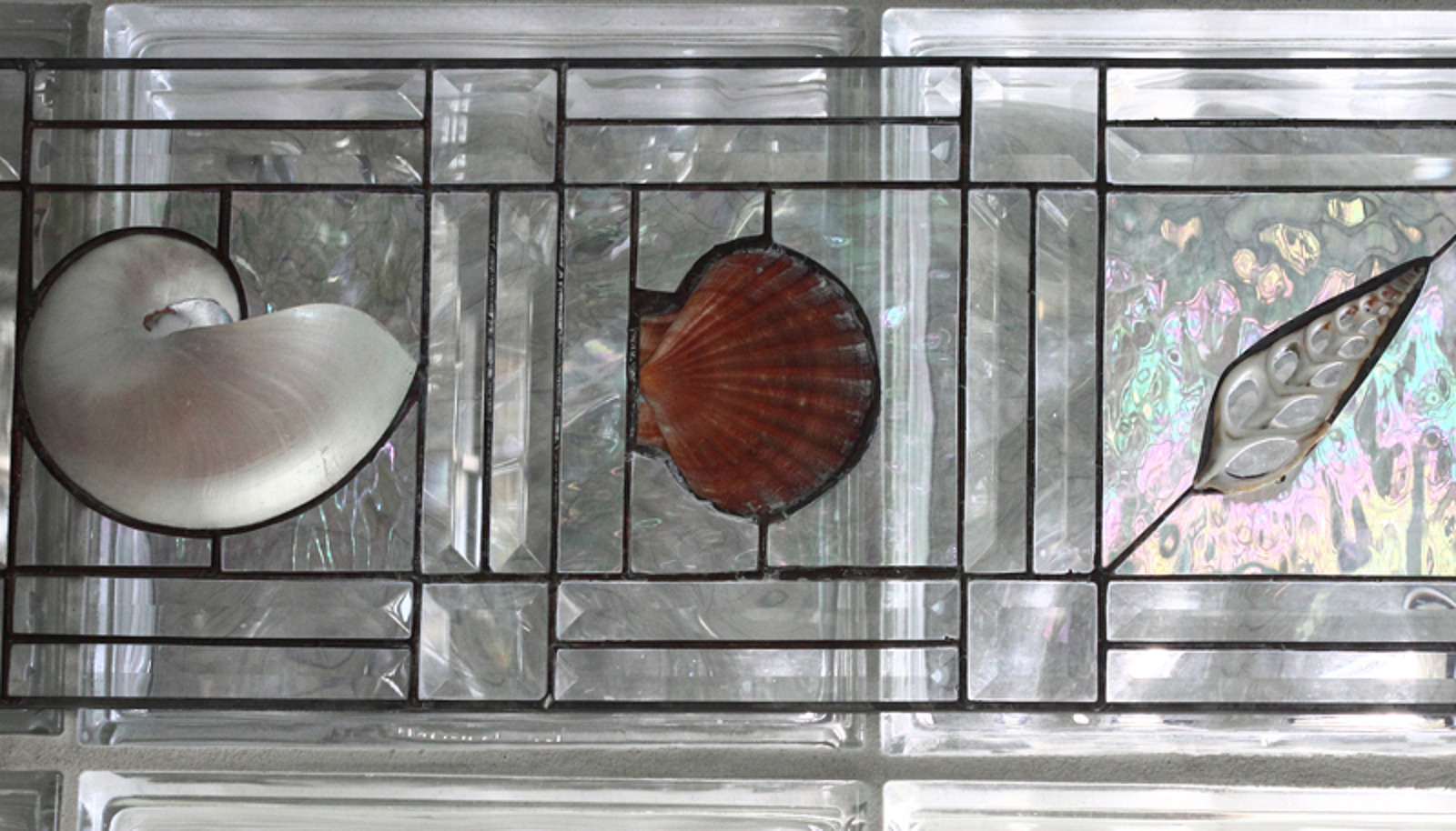 Image 12