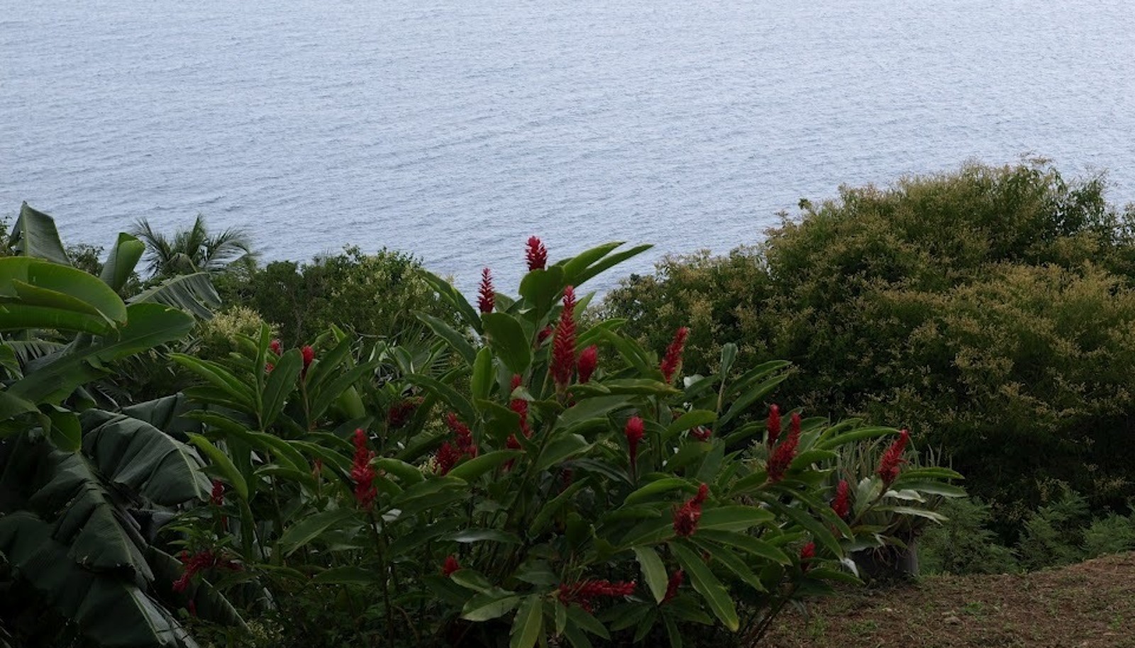 Image 16