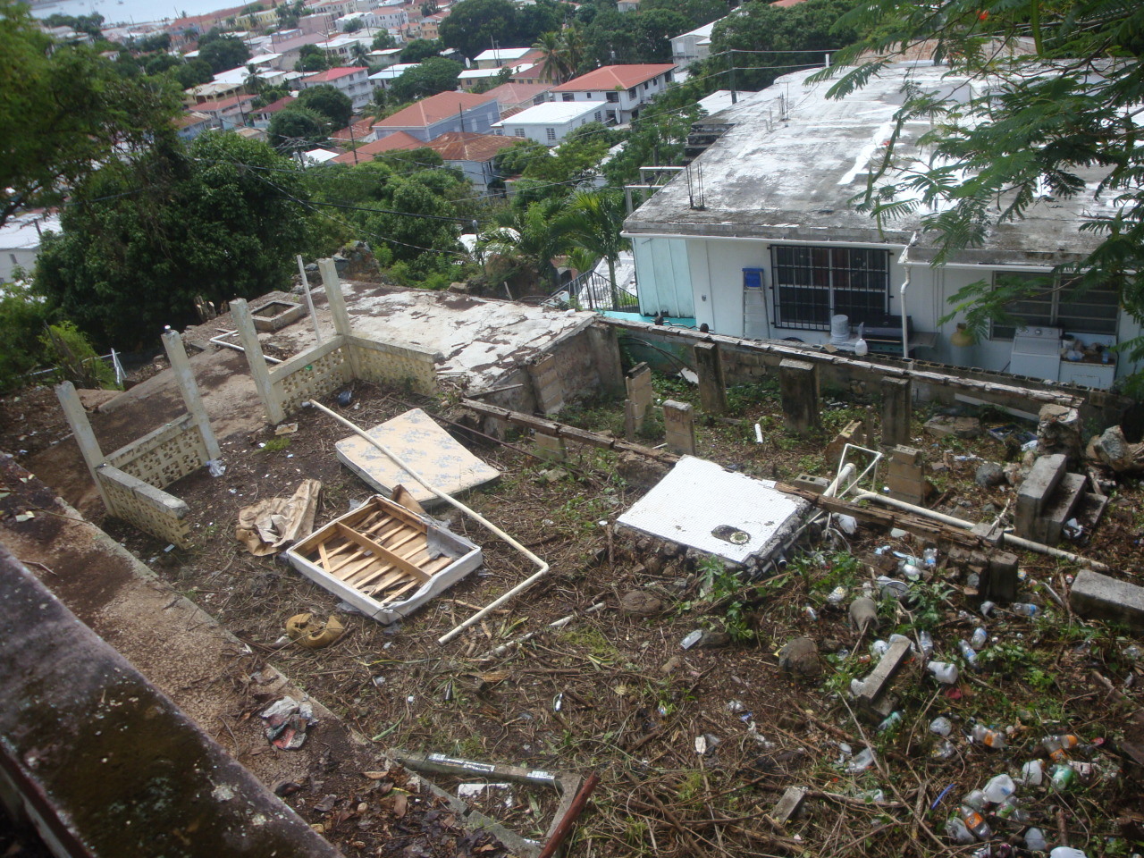 Image 7