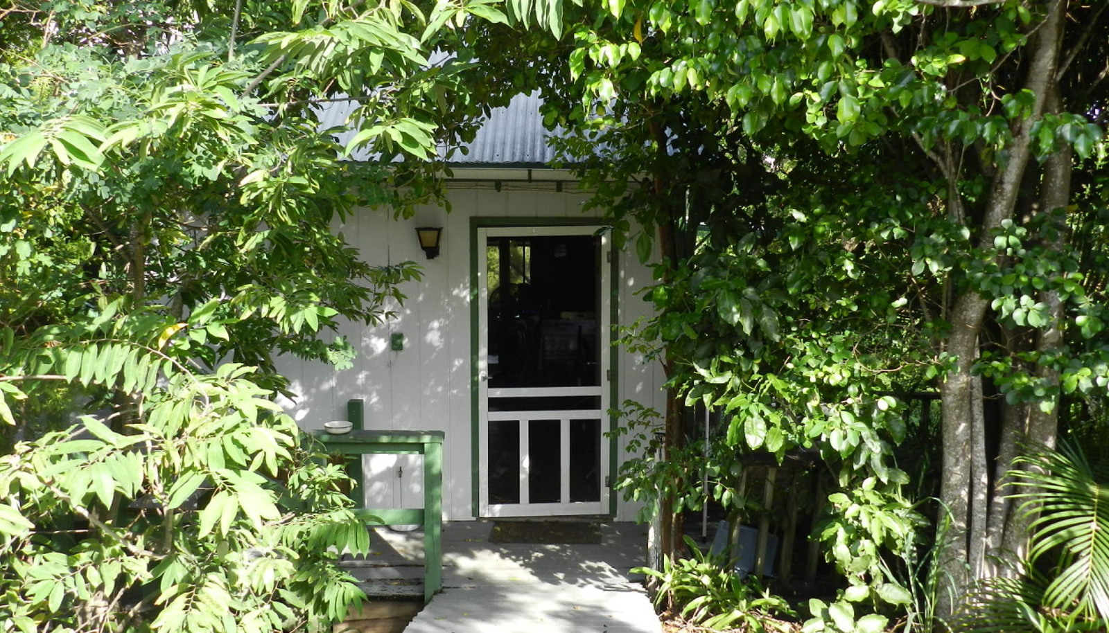 Image 6