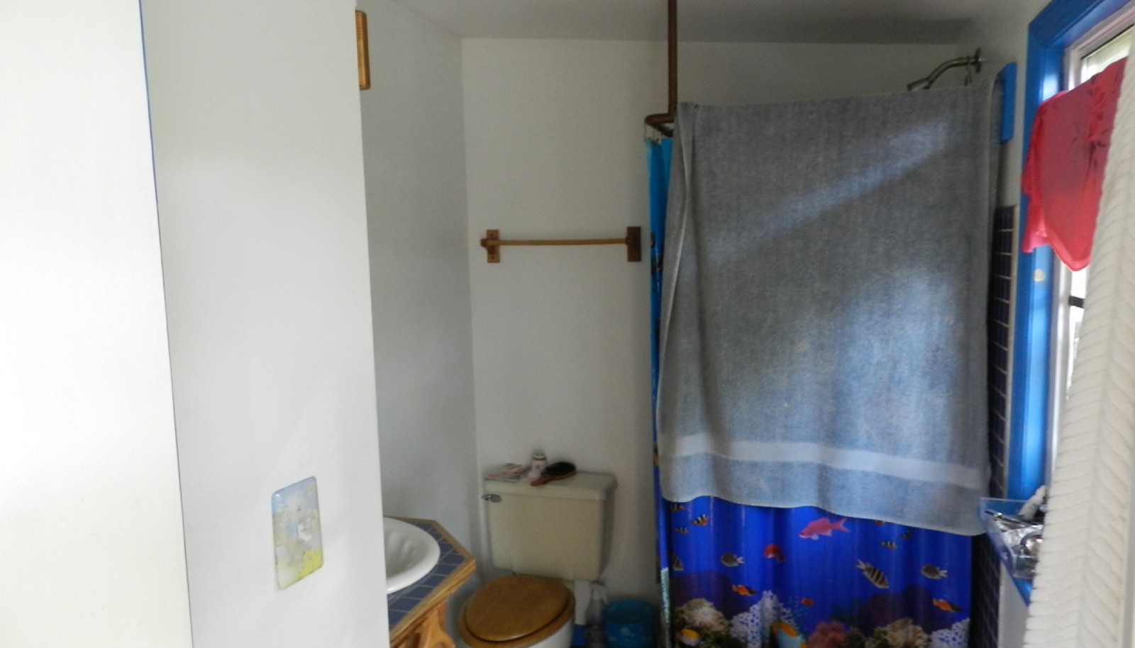 Image 20