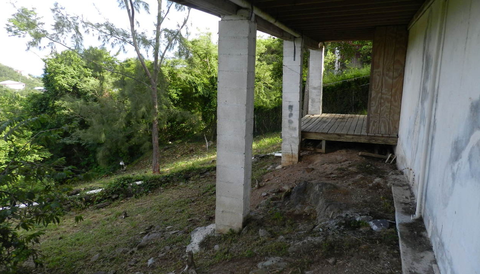 Image 22