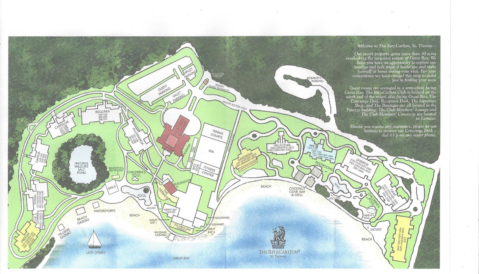 Image 10