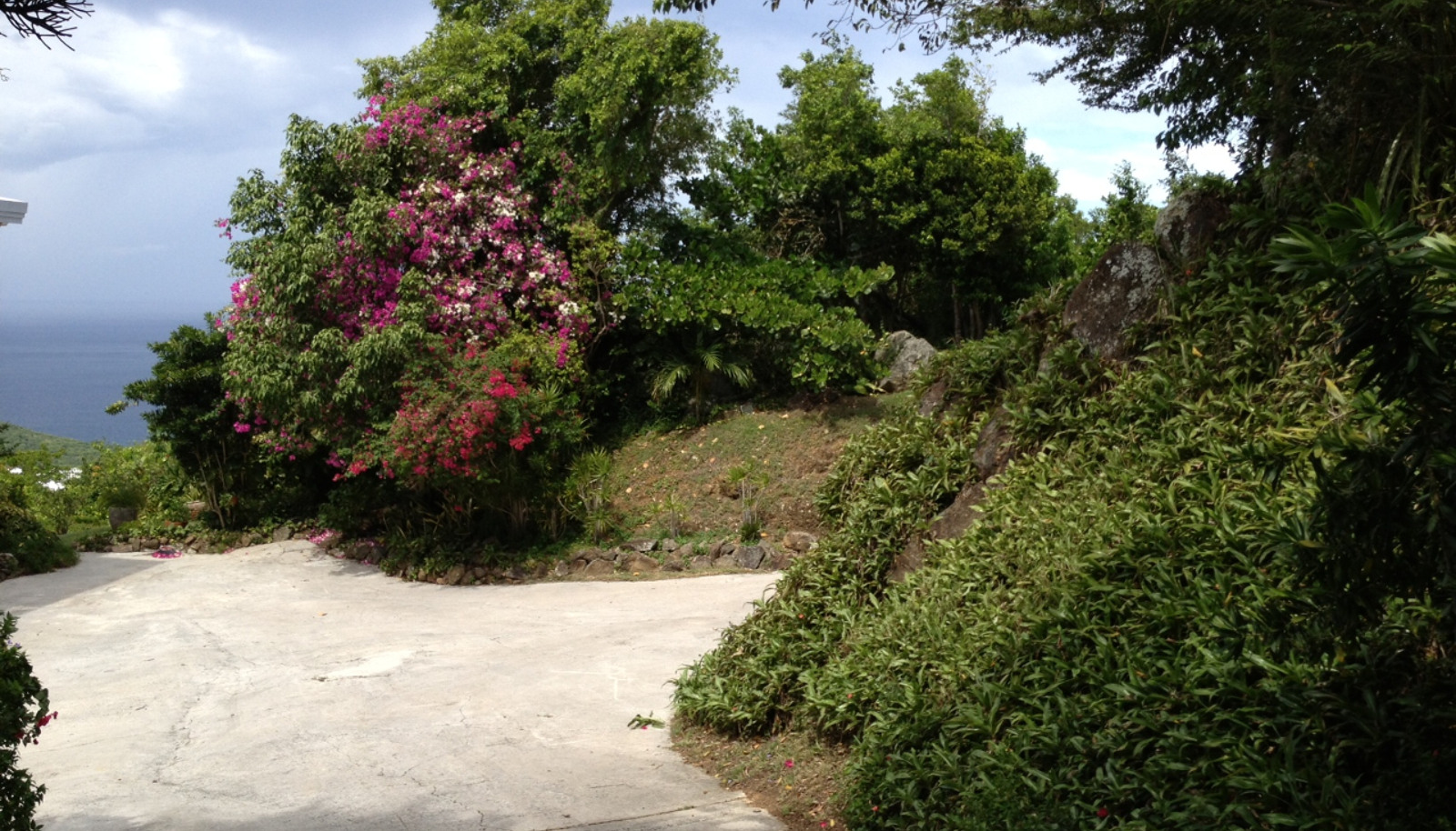 Image 25