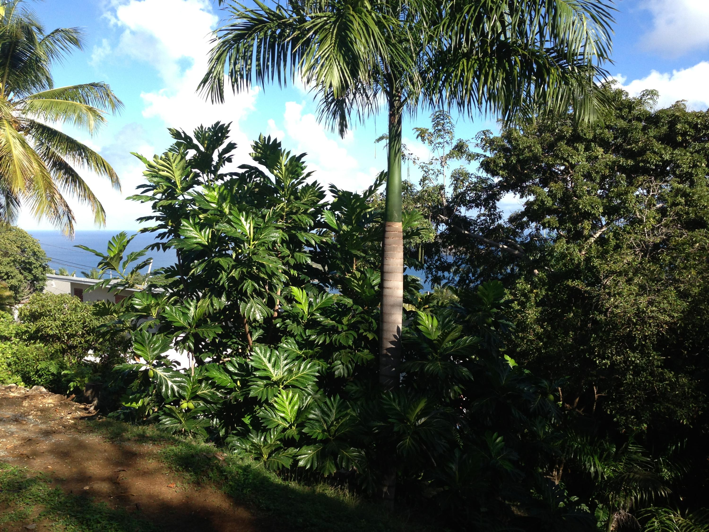 Image 10