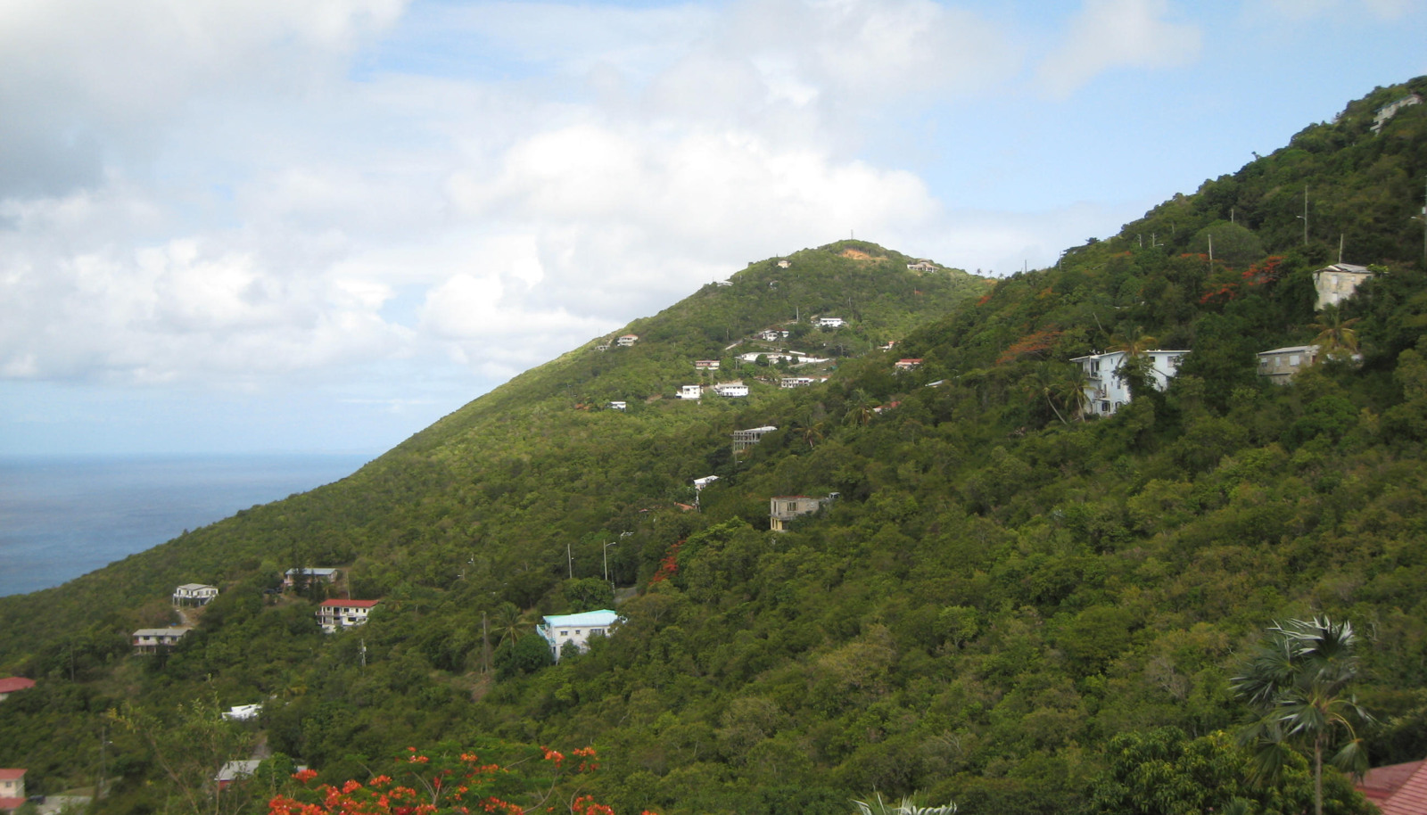 Image 37