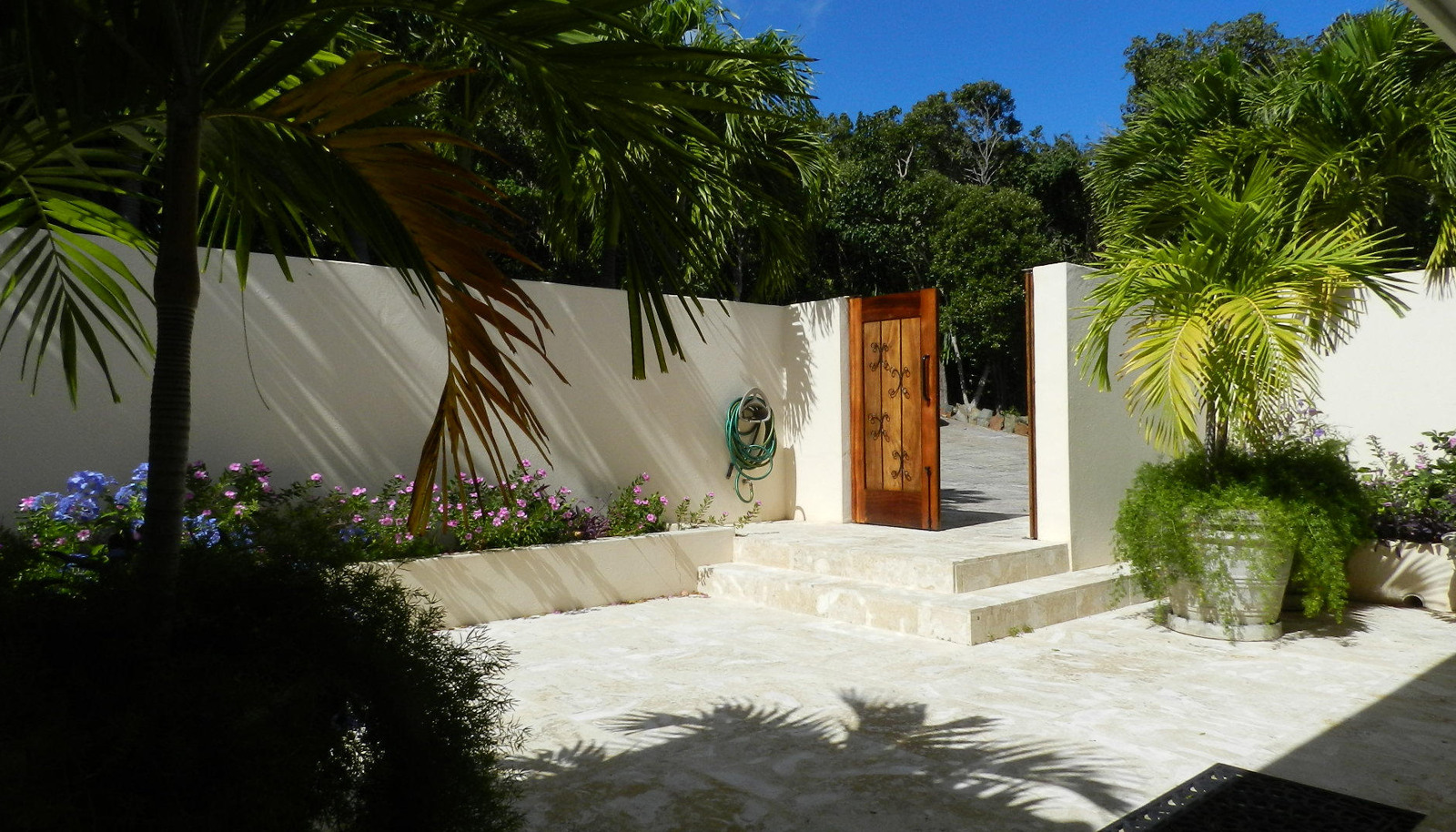 Image 6