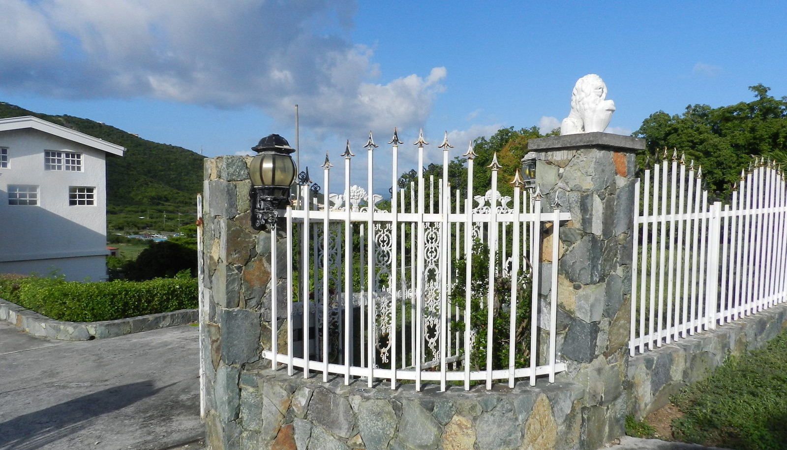 Image 7
