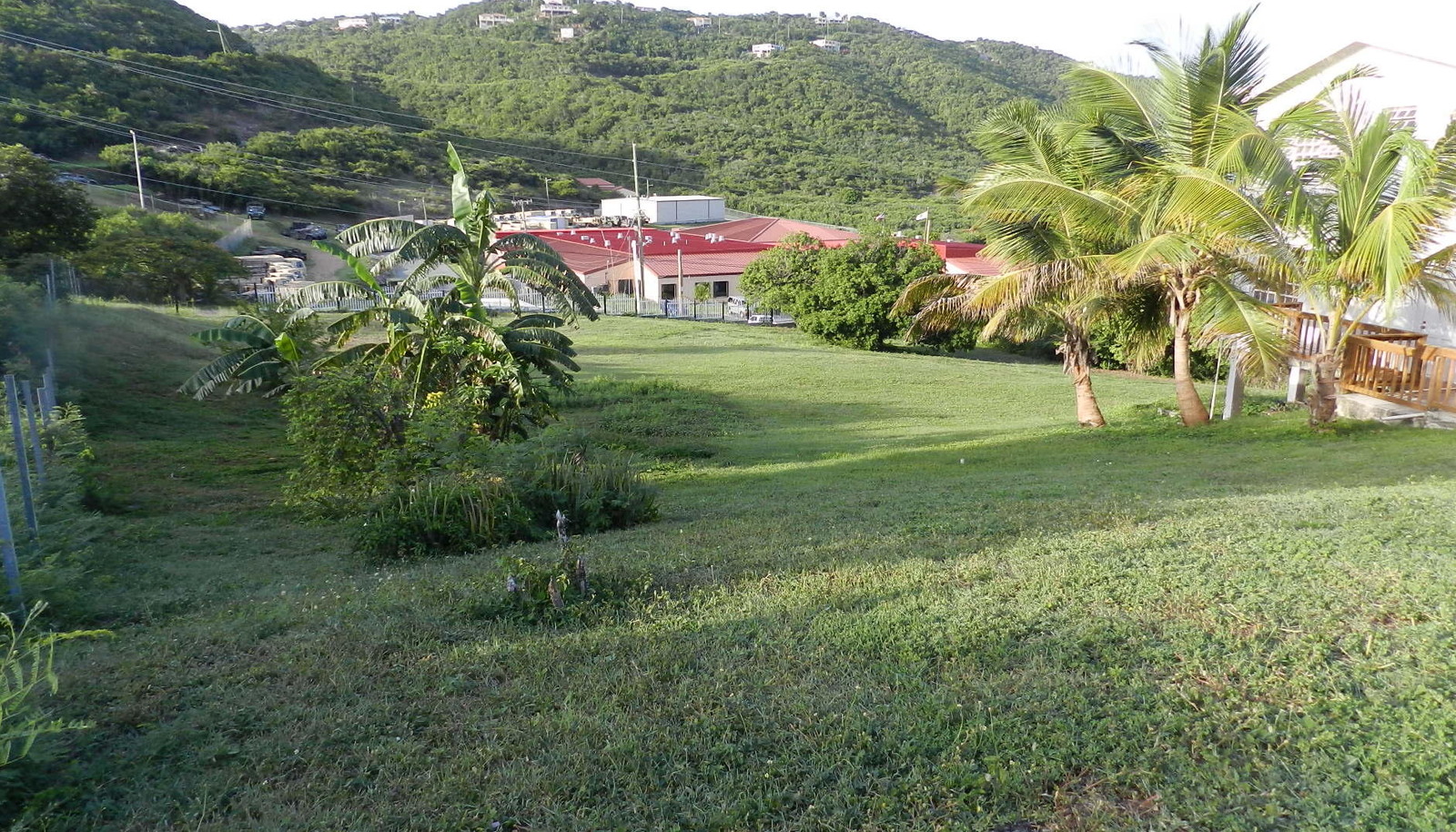 Image 19