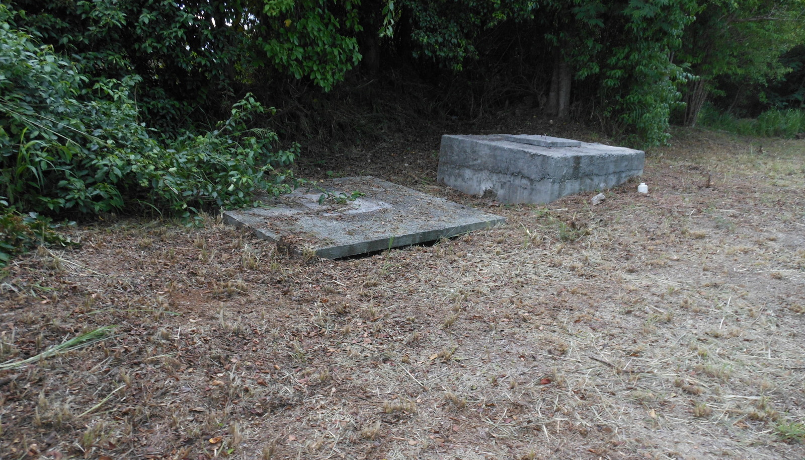Image 20