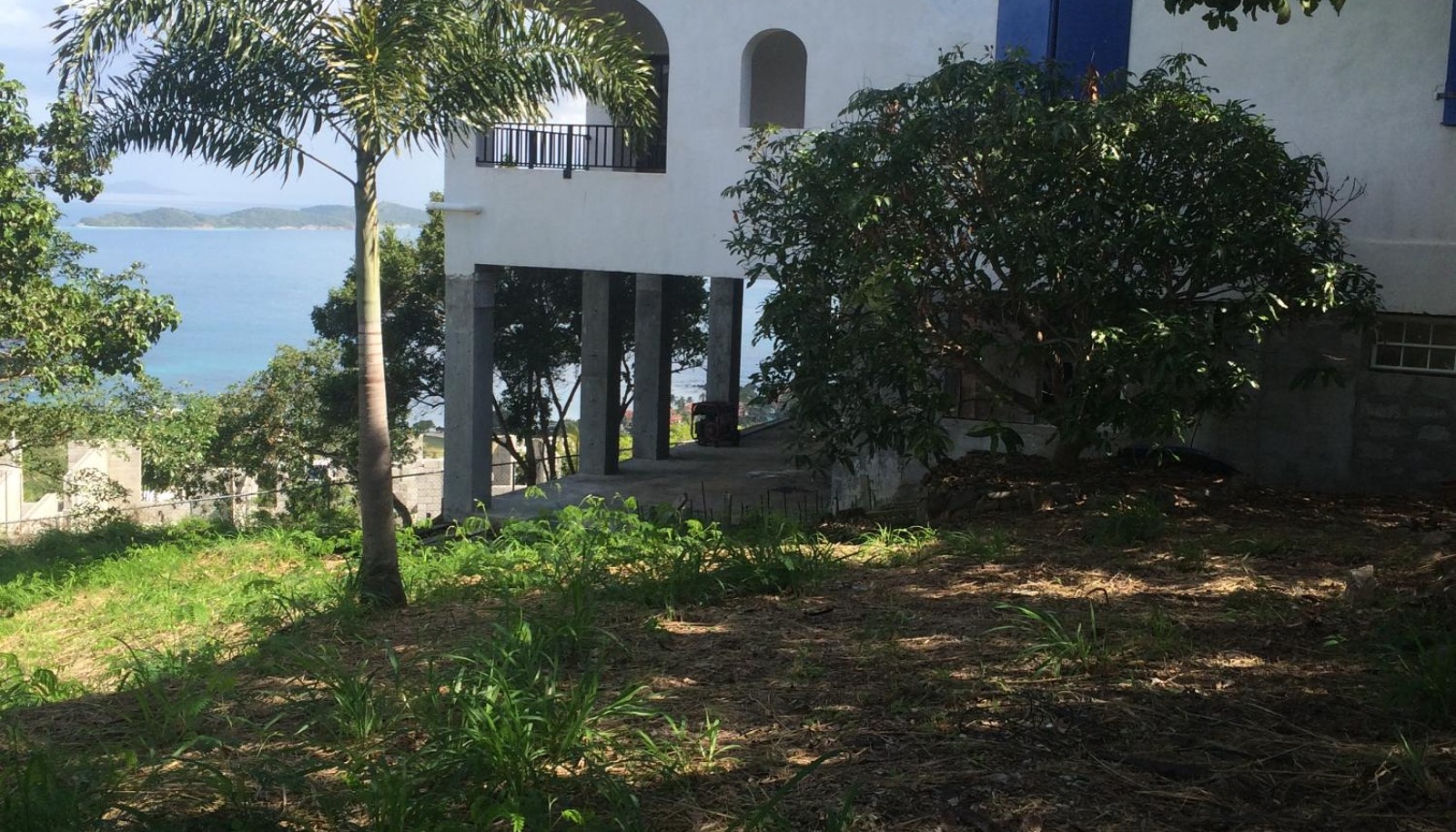 Image 19