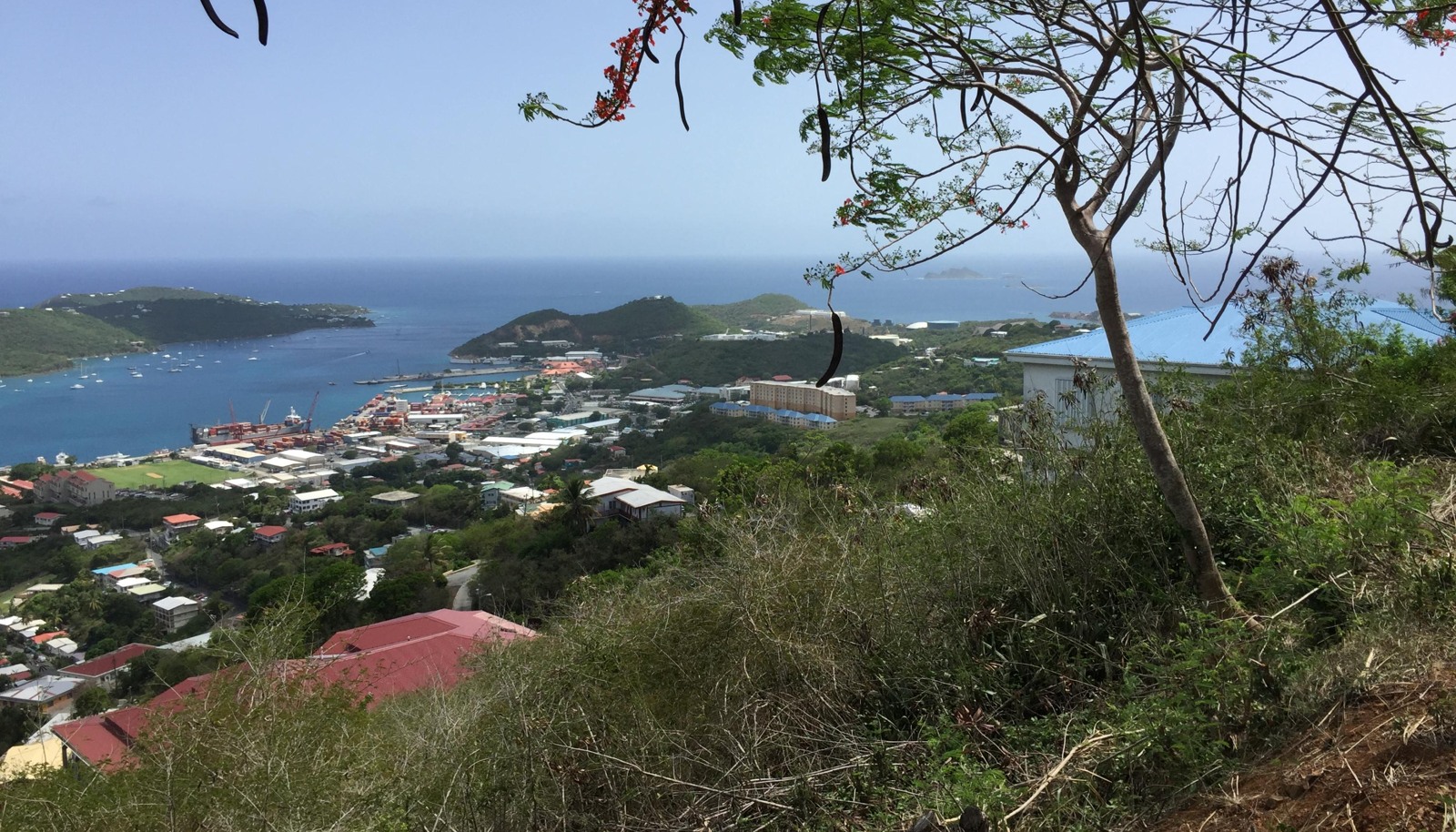 Image 3