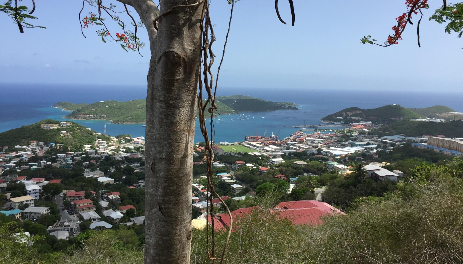 Image 5