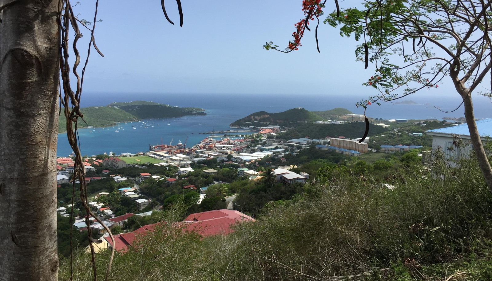 Image 6