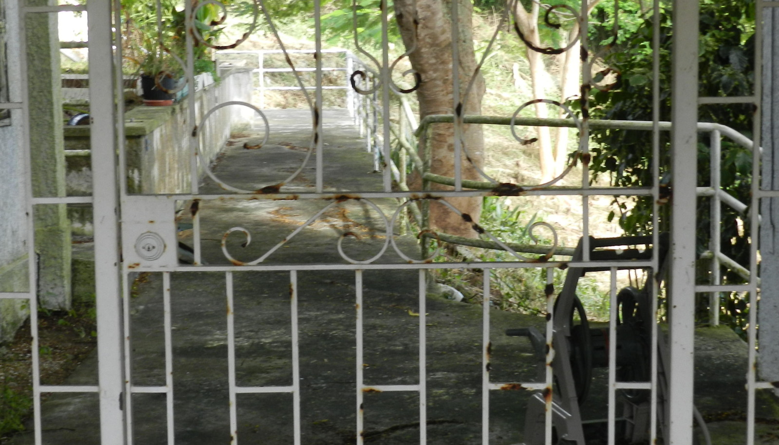 Image 7