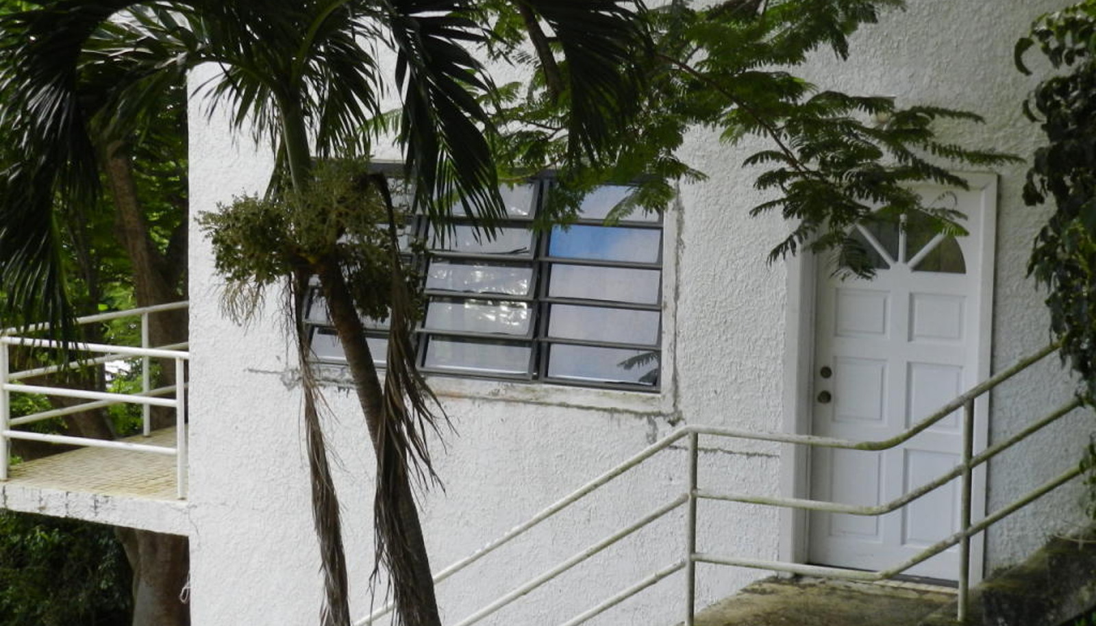 Image 12