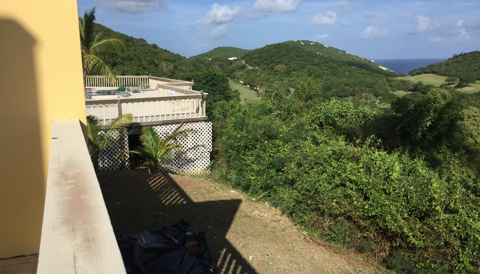 Image 11