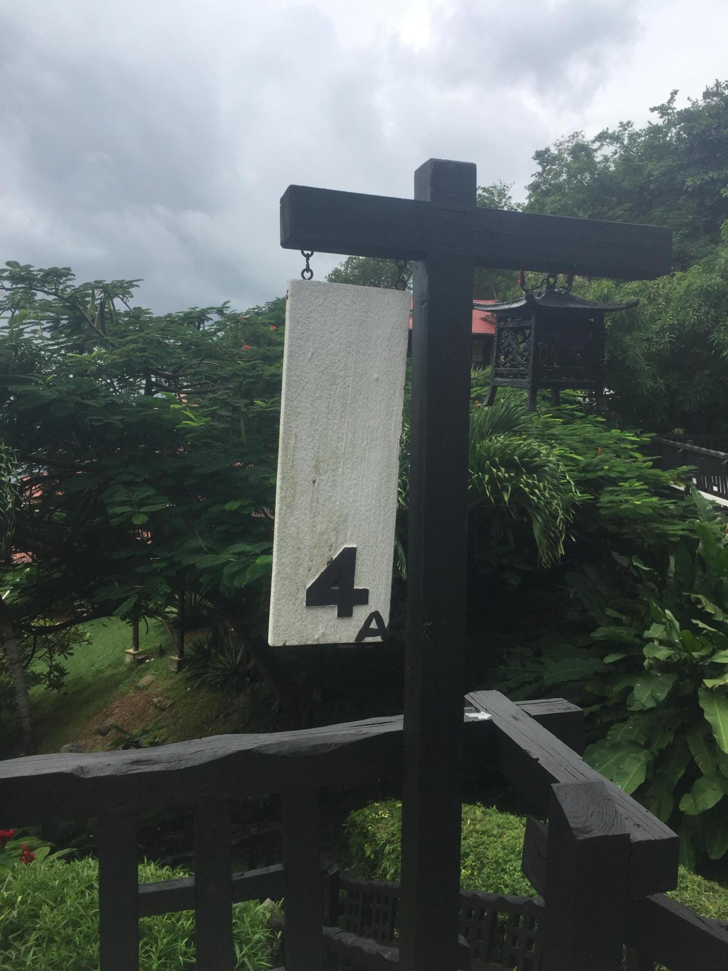 Image 19